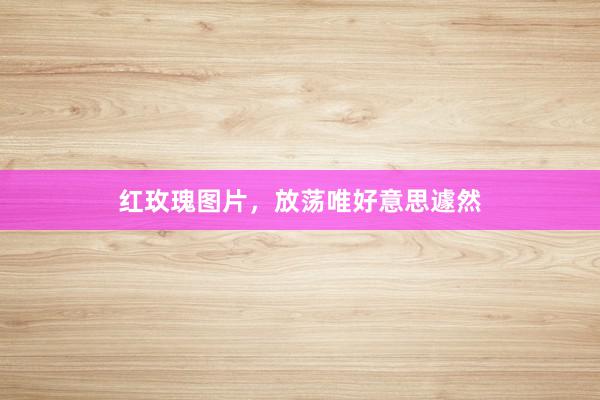 红玫瑰图片，放荡唯好意思遽然