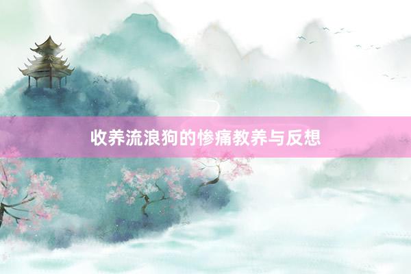 收养流浪狗的惨痛教养与反想